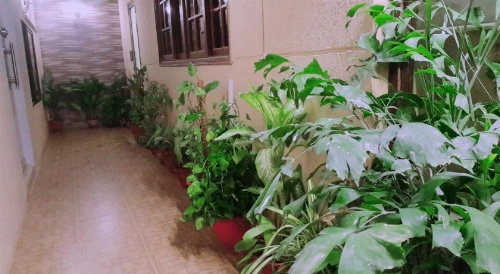 Hotel inn image 26